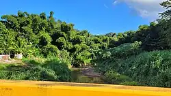 Río Cañas between Leguísamo and Río Cañas Abajo