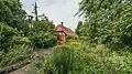 The garden