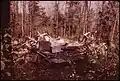 Remains of a summer cottage which collapsed under the weight of the winter's snow, 1973