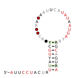 malK-II Secondary structure taken from the Rfam database. Family RF03008