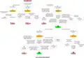Diameter Accounting State Machines (Client)