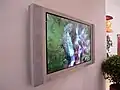 Arçelik is Turkish television maker, found in Royal Flora Expo 2006