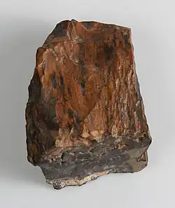 Petrified wood