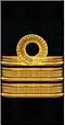 нарукавный знак флота 1917