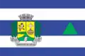 Flag of Rochedo de Minas