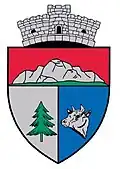 Official seal of Ciuruleasa
