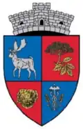 Coat of arms of Socodor