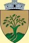 Coat of arms of Chișlaz