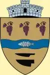 Coat of arms of Tămășeu