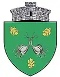 Coat of arms of Copălău