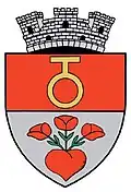 Coat of arms of Ghimbav