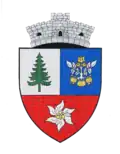 Coat of arms of Lisa
