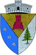 Coat of arms of Turnu Ruieni