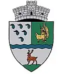 Coat of arms of Runcu