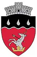 Coat of arms of Costuleni