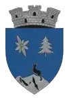Coat of arms of Borșa