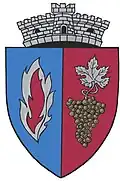 Coat of arms of Coroisânmărtin