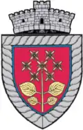 Coat of arms of Sânger