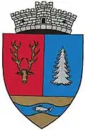 Coat of arms of Stânceni