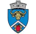 Coat of arms of Viișoara