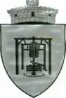Coat of arms of Păcureți