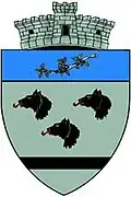 Coat of arms of Vâlcănești