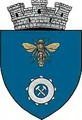 Coat of arms of Berbești
