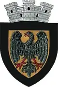 Coat of arms of Negrești