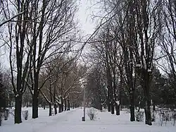 Central Park (Központi Park/Parcul Central)