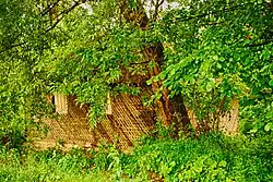 Watermill in Cătina
