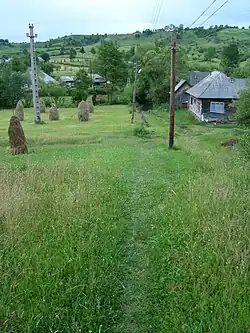Costeni