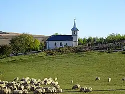 Orthodox church in Căpâlna de Sus