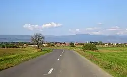 Lunca Mureșului
