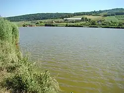 Lake Tăureni