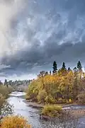 Fall fly fishing downstream of Lost Creek Lake