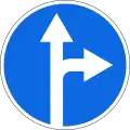 Straight ahead or right turn permitted