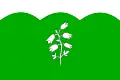 Flag of Radošov