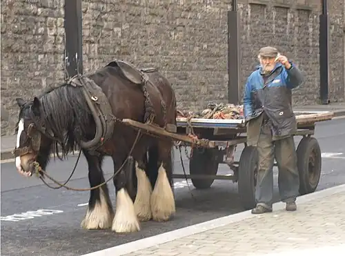 Ireland 2008