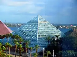 Rainforest Pyramid