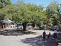 Amusement park