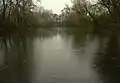 Local branch of the Uh (Uzh) river near Stretavka