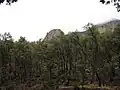 Ramsey Canyon