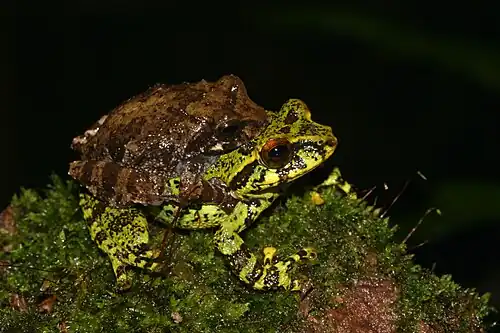Mating