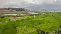 Rural fields and Sefid Rud River