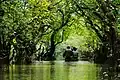 Image 15Ratargul Swamp Forest is a freshwater swamp forest located in Gowain River, Fatehpur Union, Gowainghat, Sylhet, Bangladesh. It is the only swamp forest located in Bangladesh and one of the few freshwater swamp forest in the world. The forest is naturally conserved under the Department of Forestry, Govt. of Bangladesh. Photo Credit: Sumon Mallick