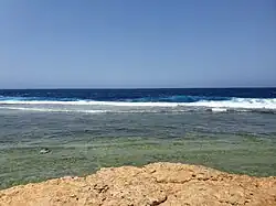 Umluj Red Sea