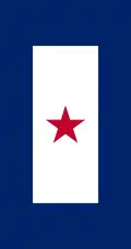 Red Star Service Banner