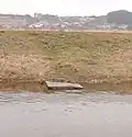 Fishing spot