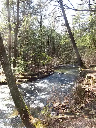 Creek