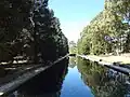 Reflection Pool